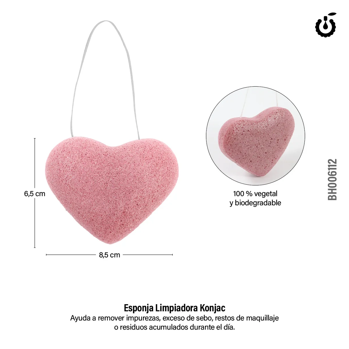 P*12 ESPONJA LIMPIADORA CHERIMOYA